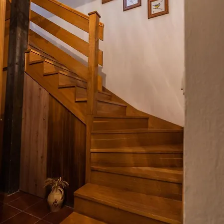 Apartment Upart Bled